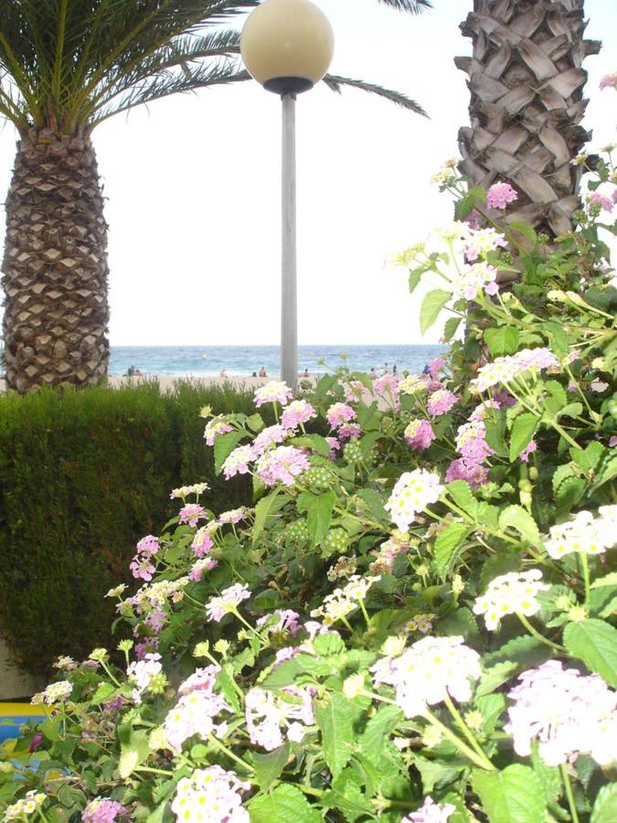 Apartament Del Mar Miami Platja  Exterior foto